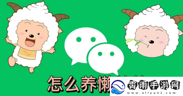 微信状态怎么养动物-微信状态怎么养宠物