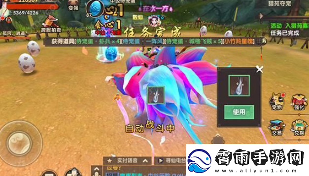 寻仙手游侍宠如何获得