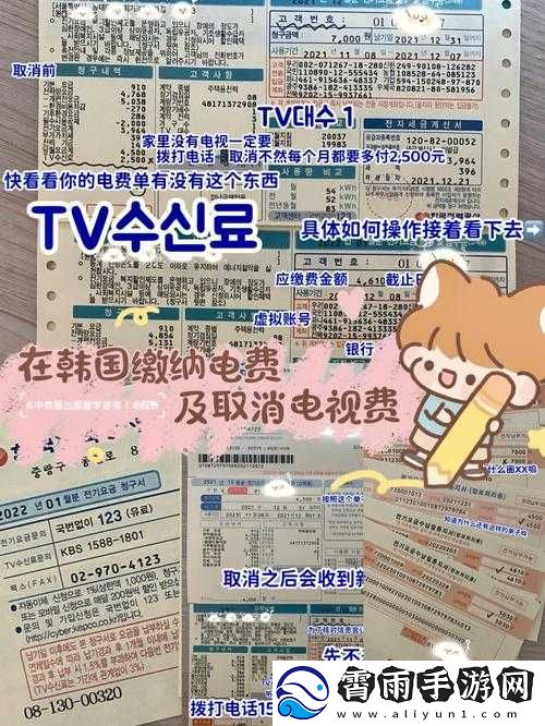 好看的韩国三色电费