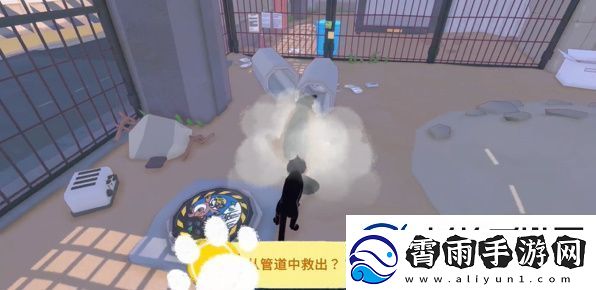 小猫咪大城市浣熊任务怎么做