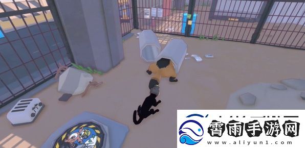 小猫咪大城市浣熊任务怎么做