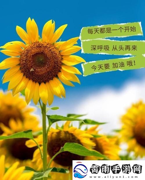 "懂破极限-科幻世相：另类视角下的正能量探秘"