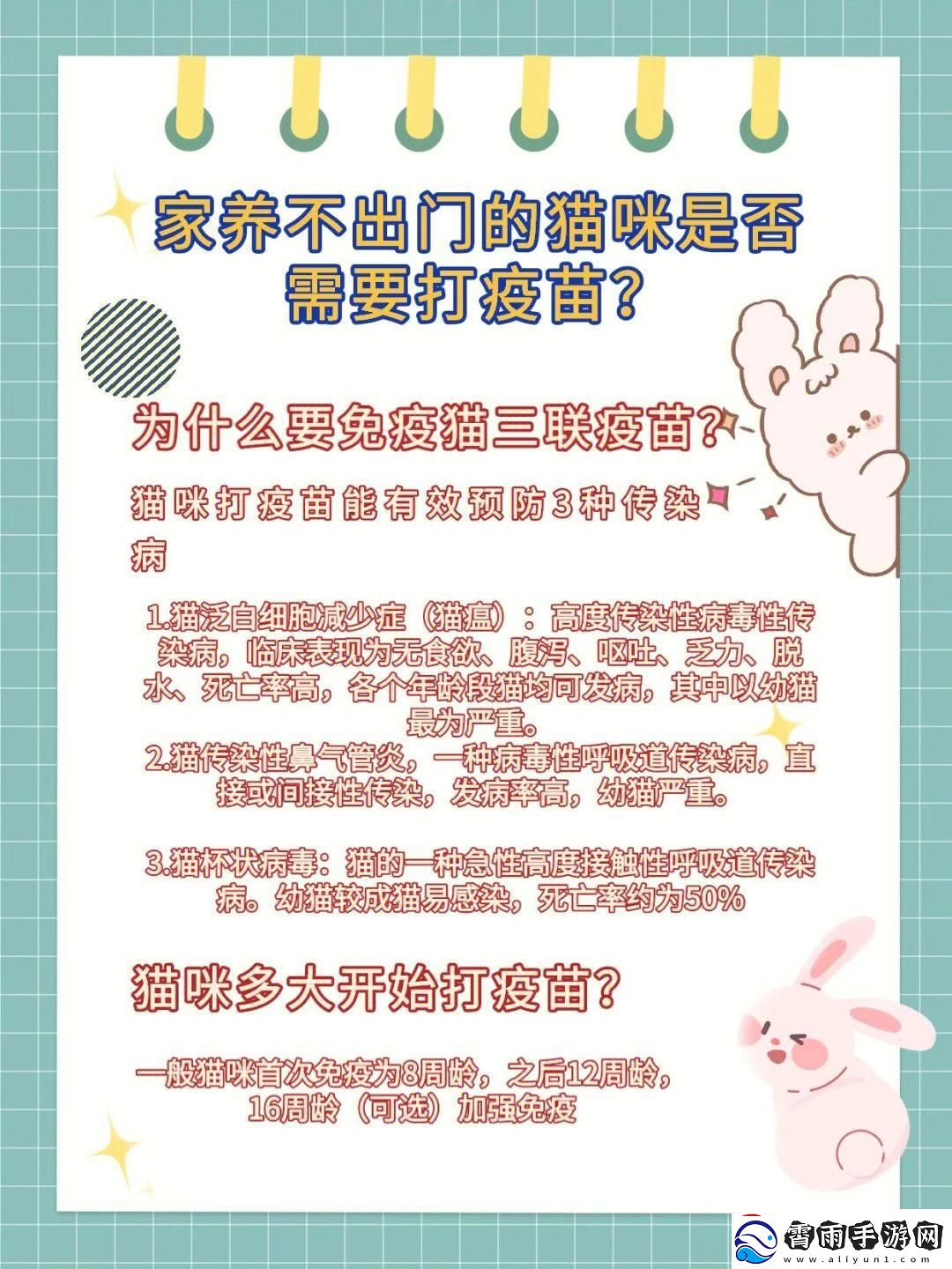 "喵了个咪！土猫不打疫苗的‘玄学’探讨"