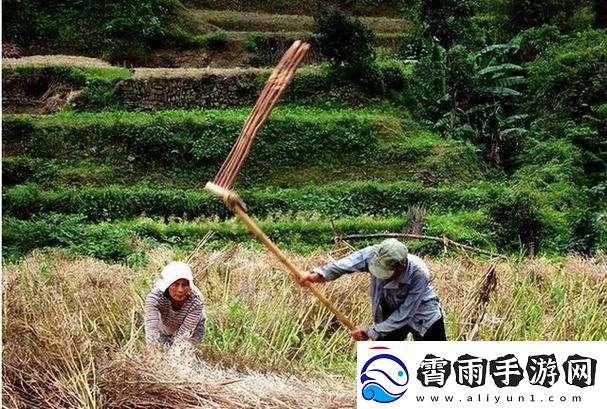 科技江湖怪谈