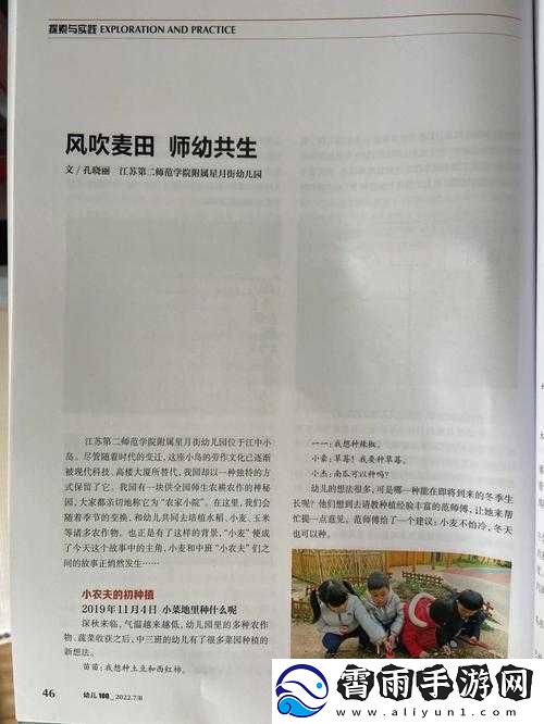麦子地里故事