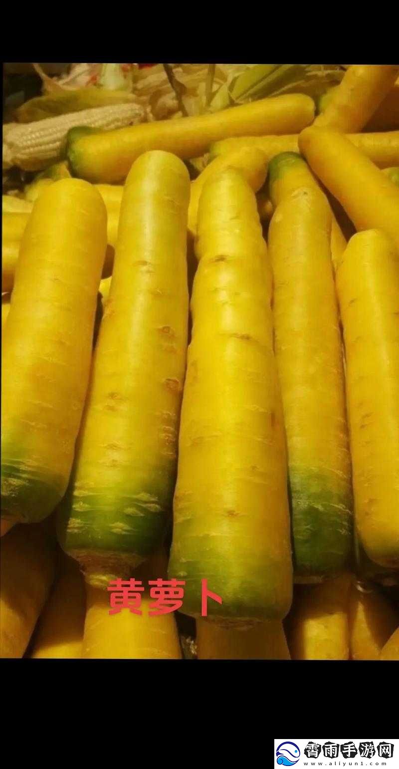 萝卜又叫黄