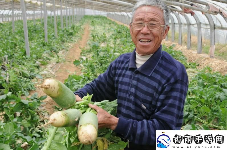 体验互动乐趣
