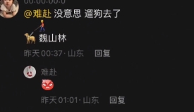 评论区遛狗是什么梗络用语