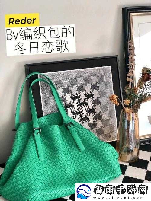 荷兰少归-BVBV：独特视角解读
