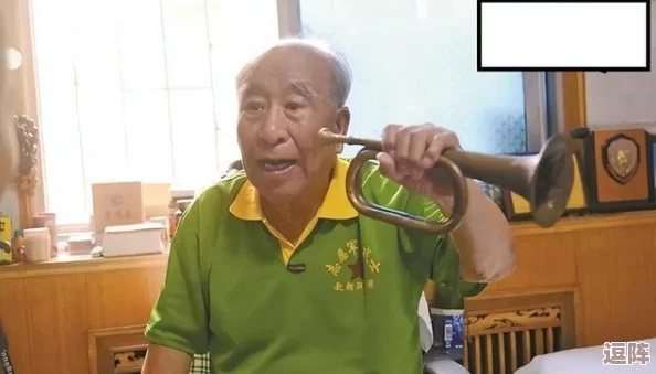 骑士赞歌光环外观