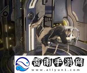 Warframe库娃与星际战甲的猫