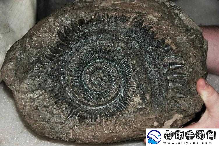 星际迷途中的化石探索之旅