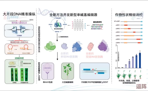 薰衣草实验室隐藏路线2023：深入解析神秘路径与其背后的科学原理及应用前景