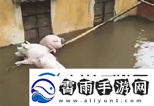 第一次穿高跟鞋的你动图在地铁上脱鞋看我怎么治你