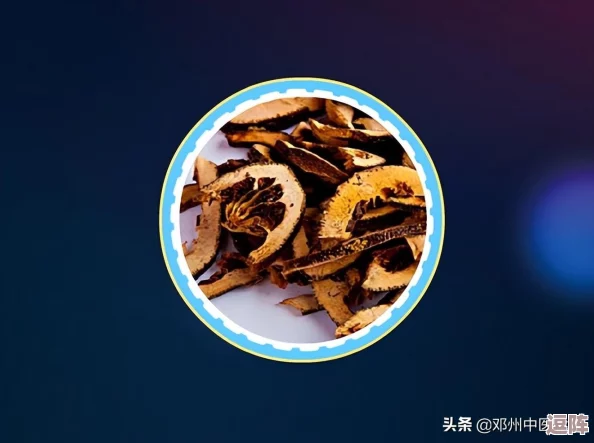 积枳桶积枳免费大全：最新更新与使用技巧分享-助你轻松获取更多资源和信息