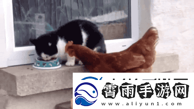 第一次穿高跟鞋的你动图在地铁上脱鞋看我怎么治你