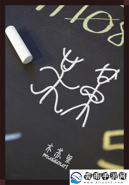 老周孙琳公交车的匠心独运