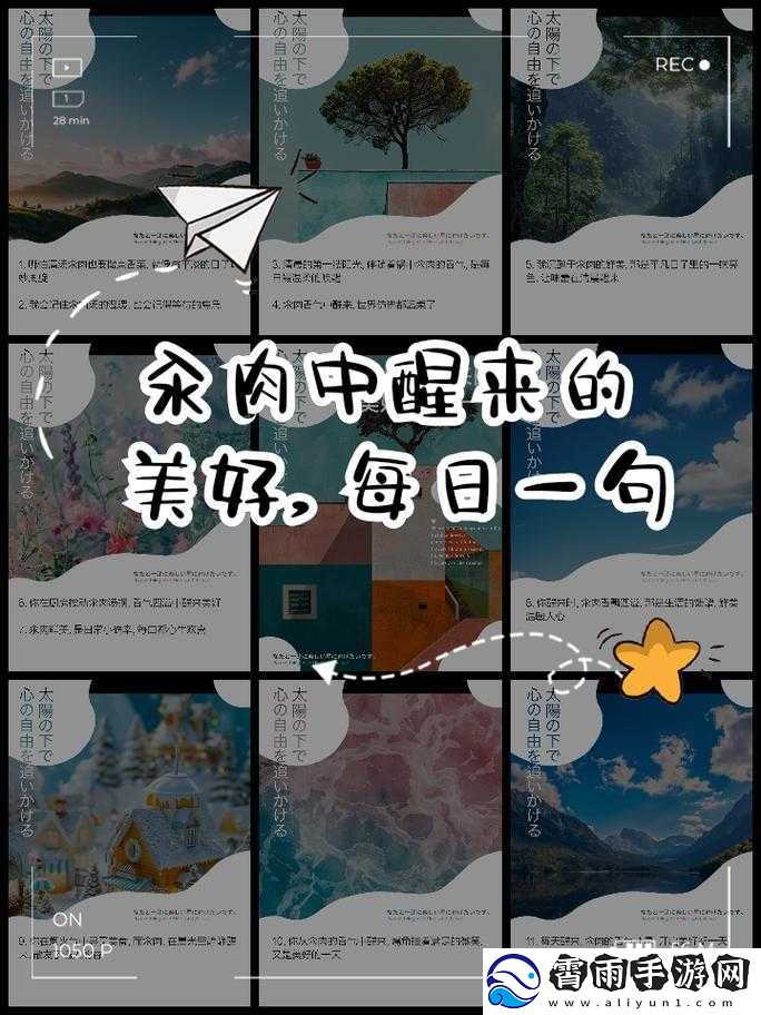 清纯汆肉日常：平凡生活中的别样精彩