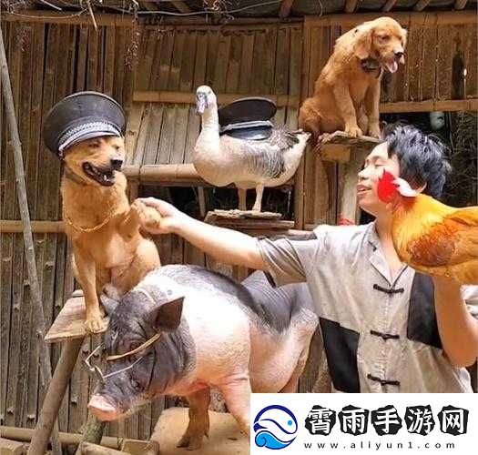 人与畜禽corporation