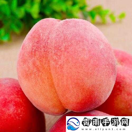 水蜜桃-91pony：甜蜜多汁的水果