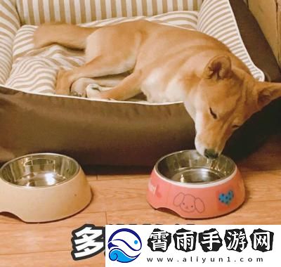 多谢款待是什么梗络用语