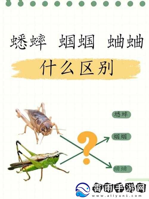 沉默的蟋蟀怎么进化：揭秘昆虫演化的奥秘