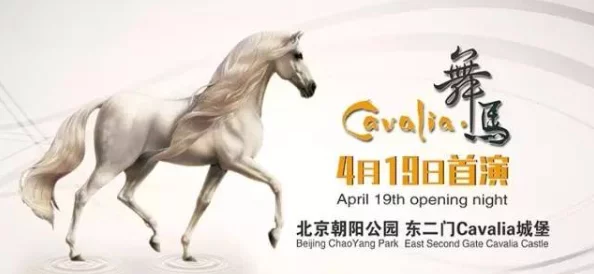 人马配速120分钟：探讨人类与马匹协作的重要意义与潜在应用