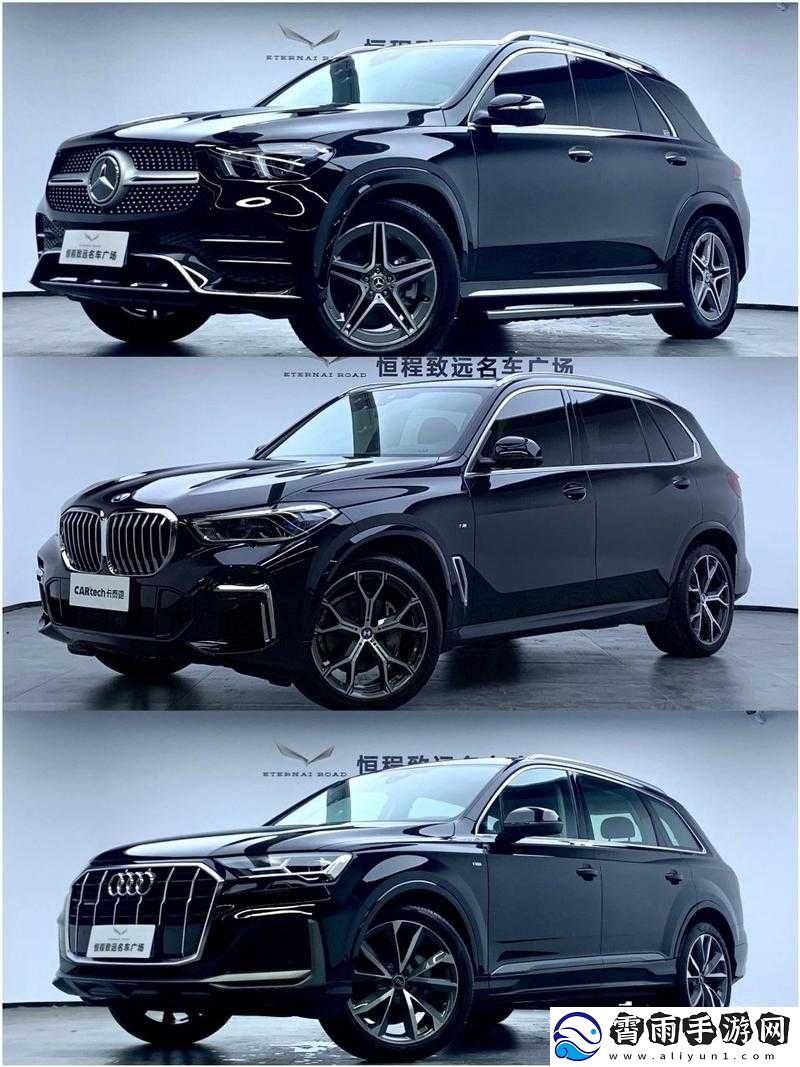国产-SUV-于欧洲热门之选的魅力