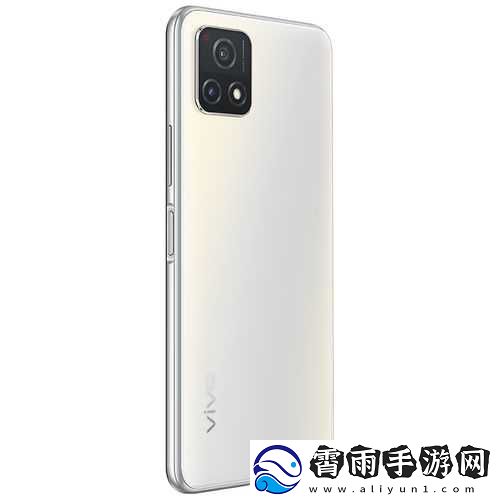 一级成色好的-Y31s-标准版：超值之选