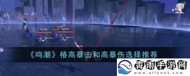 鸣潮椿高暴击和高暴伤选择推荐