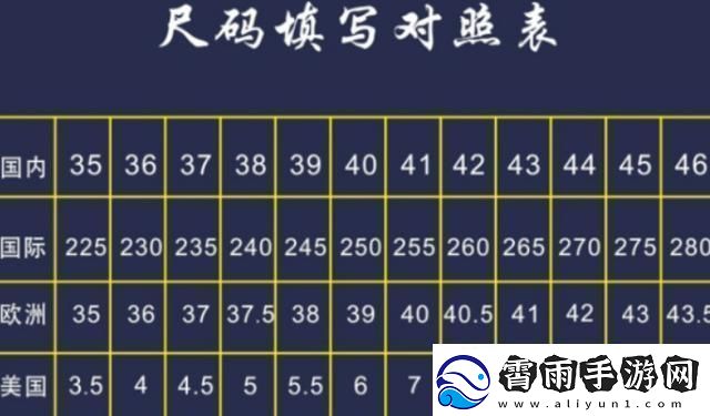 “欧码”杠“中码”：崛起的双生子-区别何在