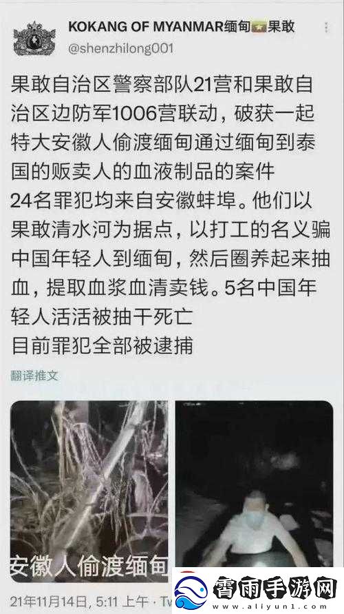 缅甸北部血腥站2024更新