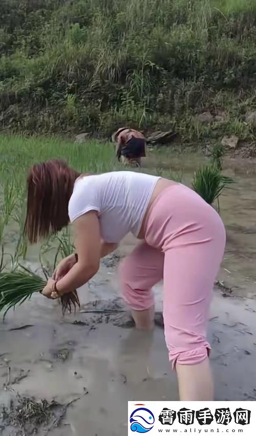 耕云播雨