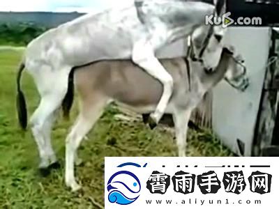 “奇配狂想曲