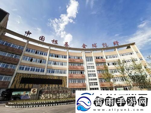 综一中狂想曲