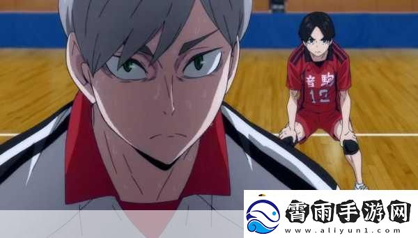 排球少年燃情回归