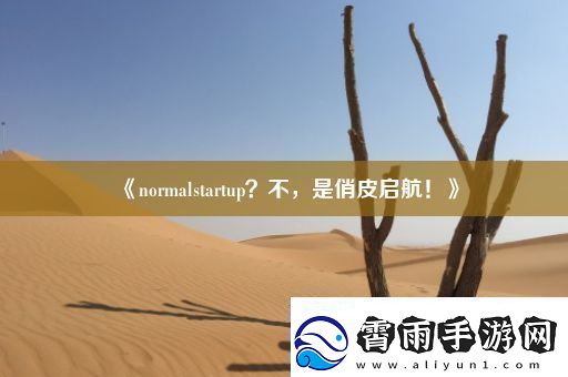 normalstartup-不-是俏皮启航！