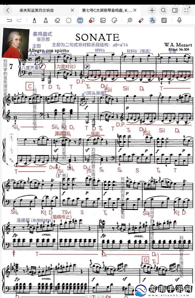 游荡大家庭交响曲