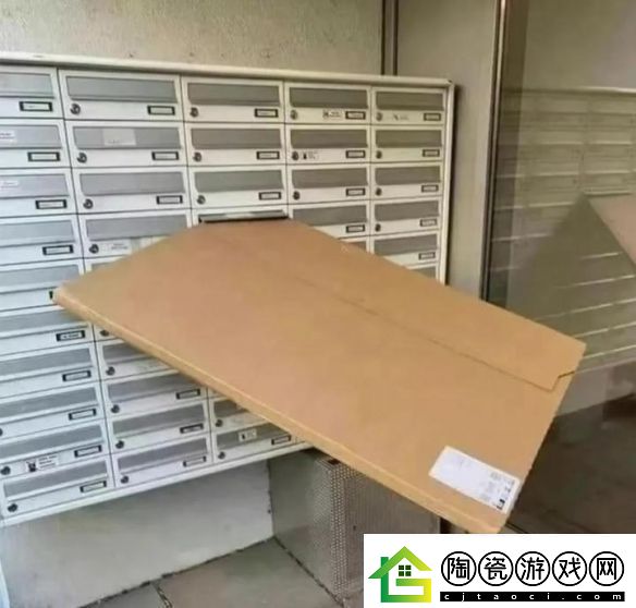 相对单身还是绝对单身
