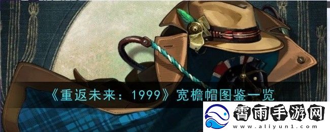 重返未来：1999宽檐帽图鉴一览