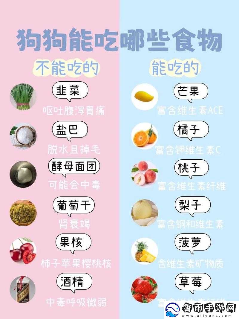 人狗胶配方大全免费详细内容汇总