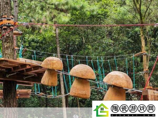 手慢慢游走往下穿过丛林-手指轻触-穿越丛林的神秘旅程