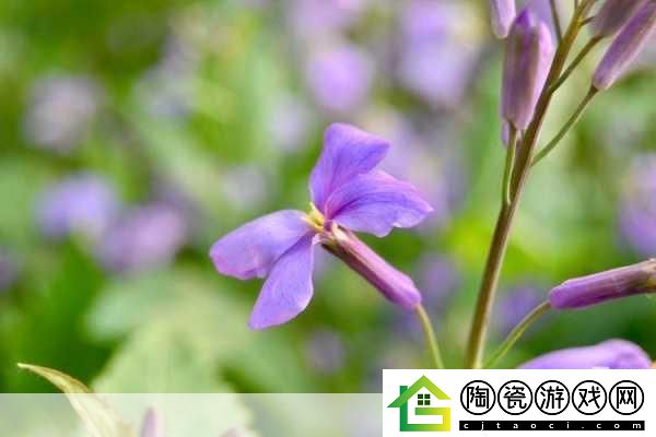 从校服衣袖看到的紫色光芒