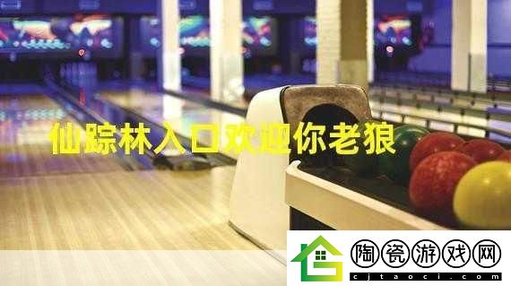 仙踪林老狼站