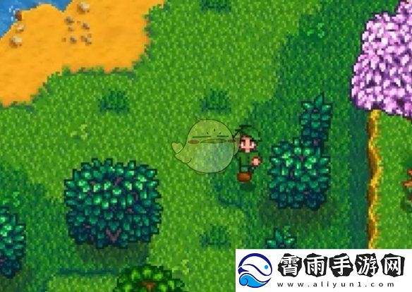 星露谷物语罗宾寻找丢失斧头的详细任务指南