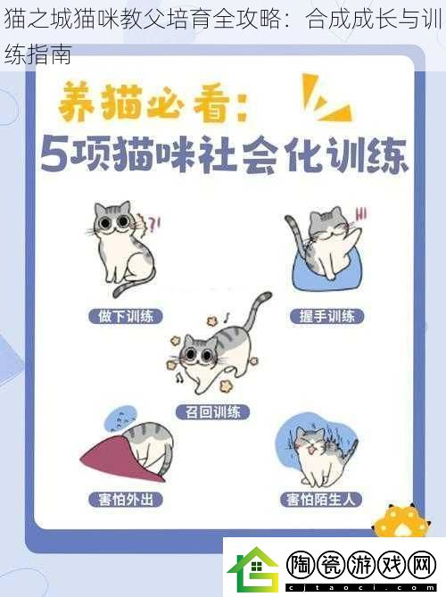 猫之城猫咪教父培育全攻略：合成成长与训练指南