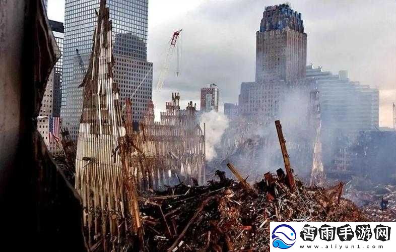 911-爱爱：关于其背后意义与价值的深入探讨