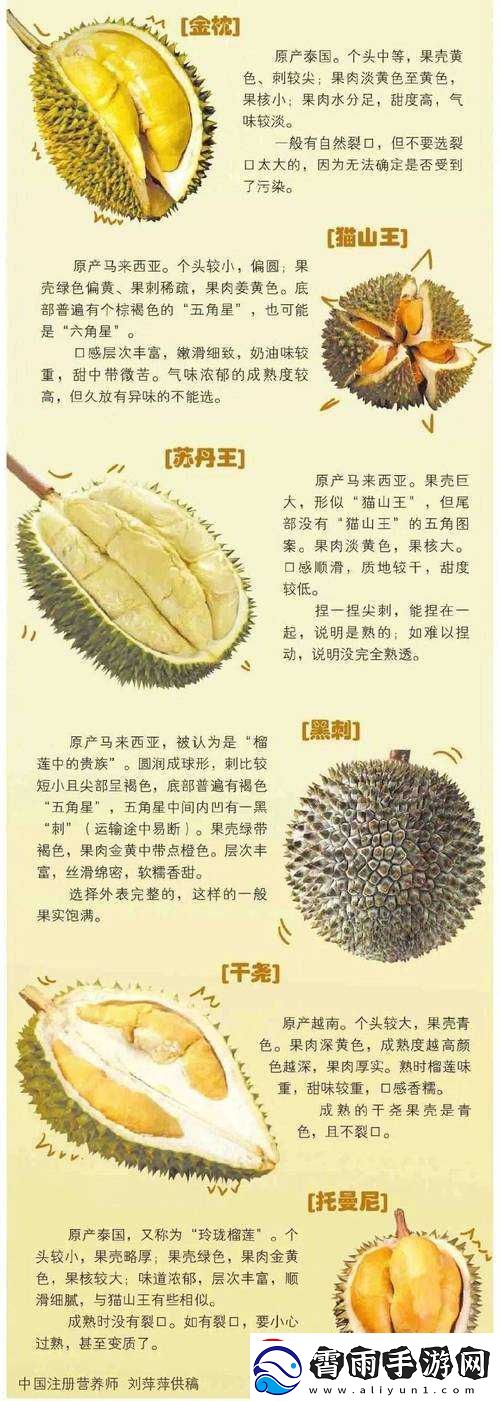 8008-幸福宝入口榴莲分类专区：丰富内容-满足你的各种选择需求