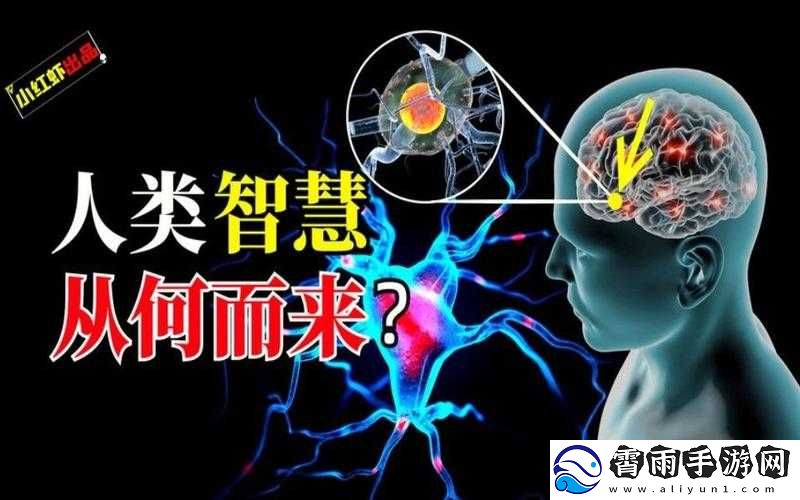 美国